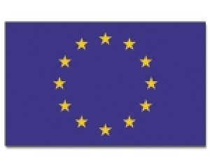 50 Paper flags Europe 21 x 12 cm