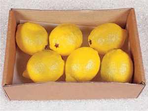 Limonen 6 Stück in der Box