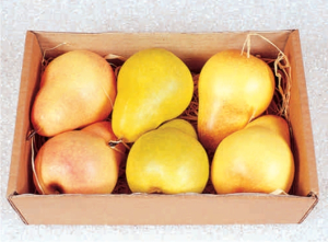 Birnen 6 Stück in der Box