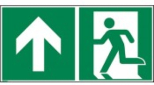 Notausgang Pfeil nach oben links, Kunststoff, 300 x 150 mm
