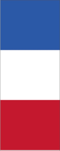 France, portrait format rental flag, 120 x 300 cm