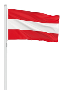 Rental flag (hoisting type) – international, 200 x 120 cm