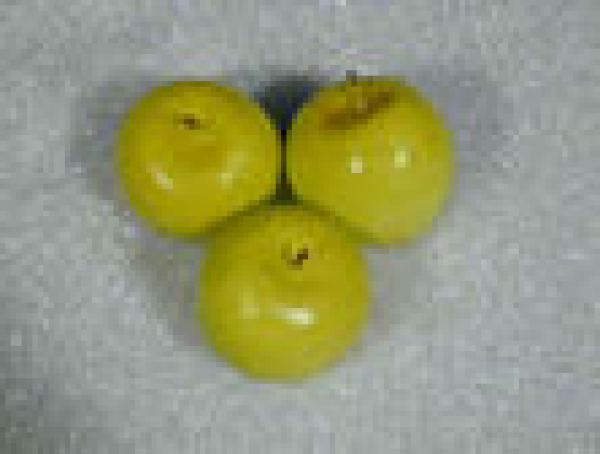Äpfel, 3 Stck. im Set, grün, 80 mm Ø