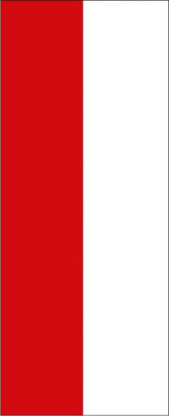Hessen ohne Wappen Banner-Leihfahne 150 x 400 cm