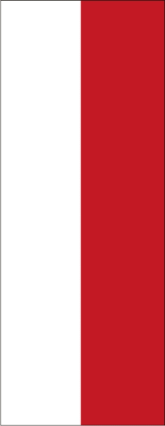 Thüringen ohne Wappen Banner-Leihfahne 150 x 400 cm