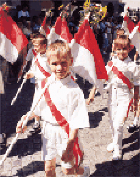 Rental hand-held flag – German federal states, 150 x 100 cm