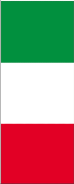 Italy portrait rental flag 120 x 300 cm